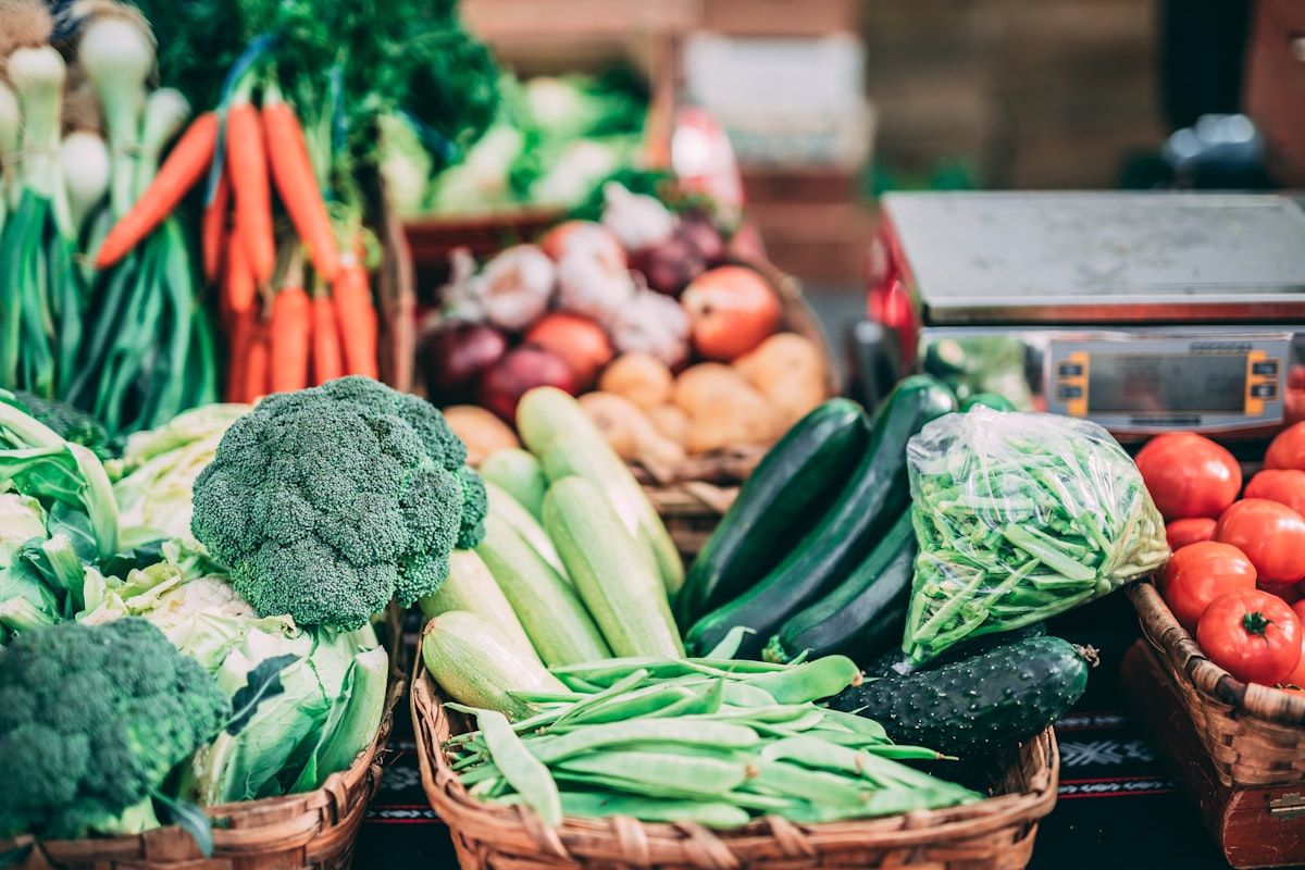 Guía completa de nutrientes esenciales para el bienestar nervioso